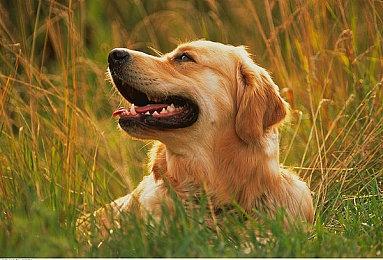 奔四的男人都在玩什么游戏：澄海3C，我的青春！